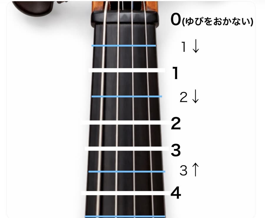 指番号の位置（0・1↓・1・2↓・2・3・3↑・4）